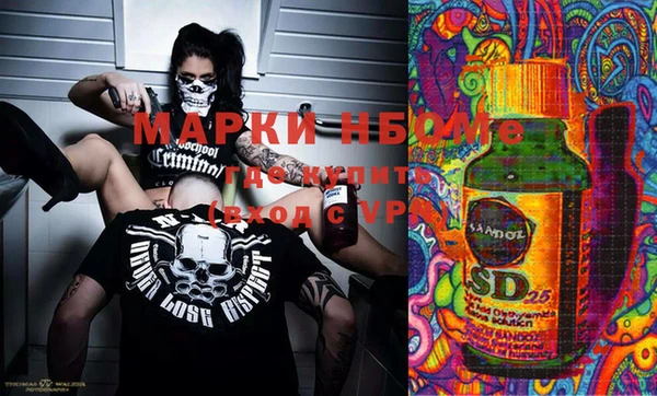 apvp Алзамай
