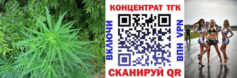 Дистиллят ТГК концентрат  mega ONION  Судогда 